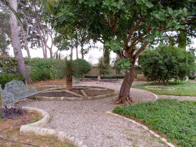 Intorno all�immobile si estendono poi vasti e rigogliosi giardini. Uno presenta aiuole circolari, quadrilobate e �a stella�...